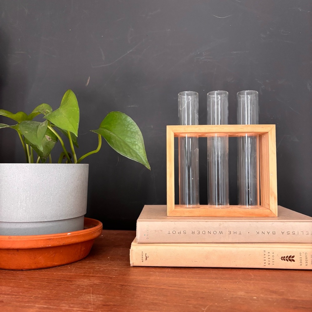 Wooden Test Tube Holder with Glass Tubes For Plant Cuttings